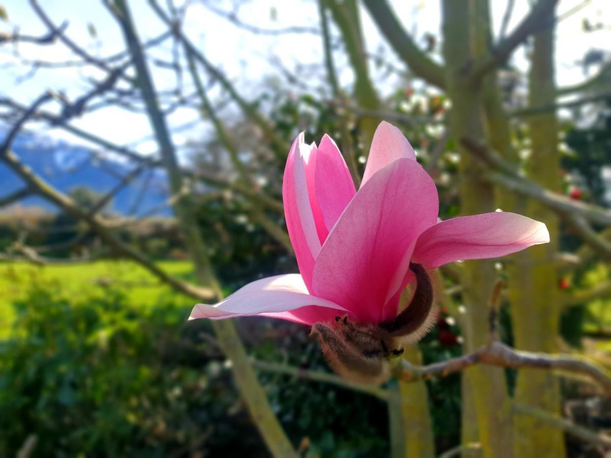 Te Mahuru Retreat Kaikoura Dış mekan fotoğraf