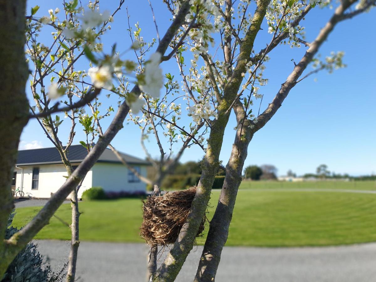 Te Mahuru Retreat Kaikoura Dış mekan fotoğraf